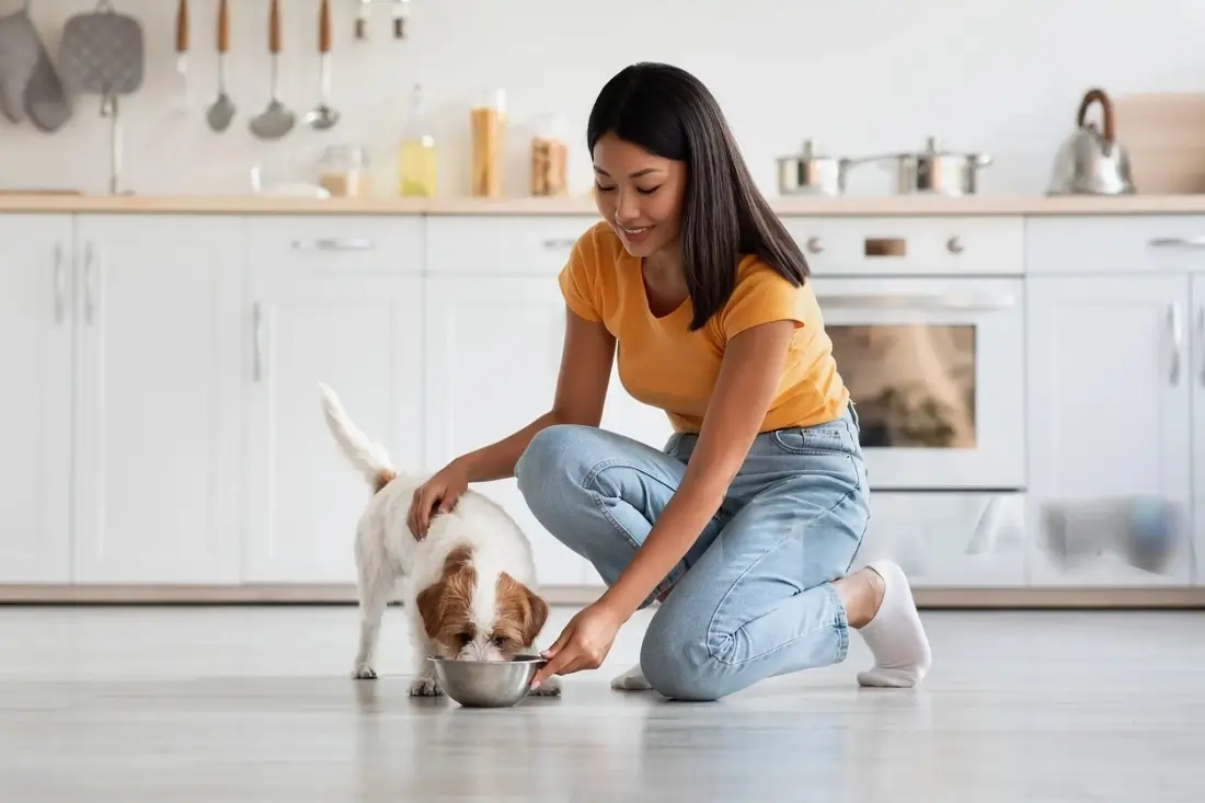 Professional House Sitting Services in Orlando, FL